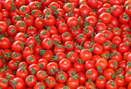 一手货源的网站攻击防护