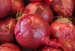 快速调试程序的cc攻击工具