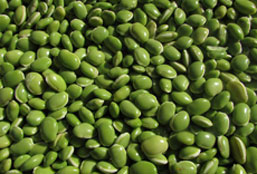 免费cc攻击测试